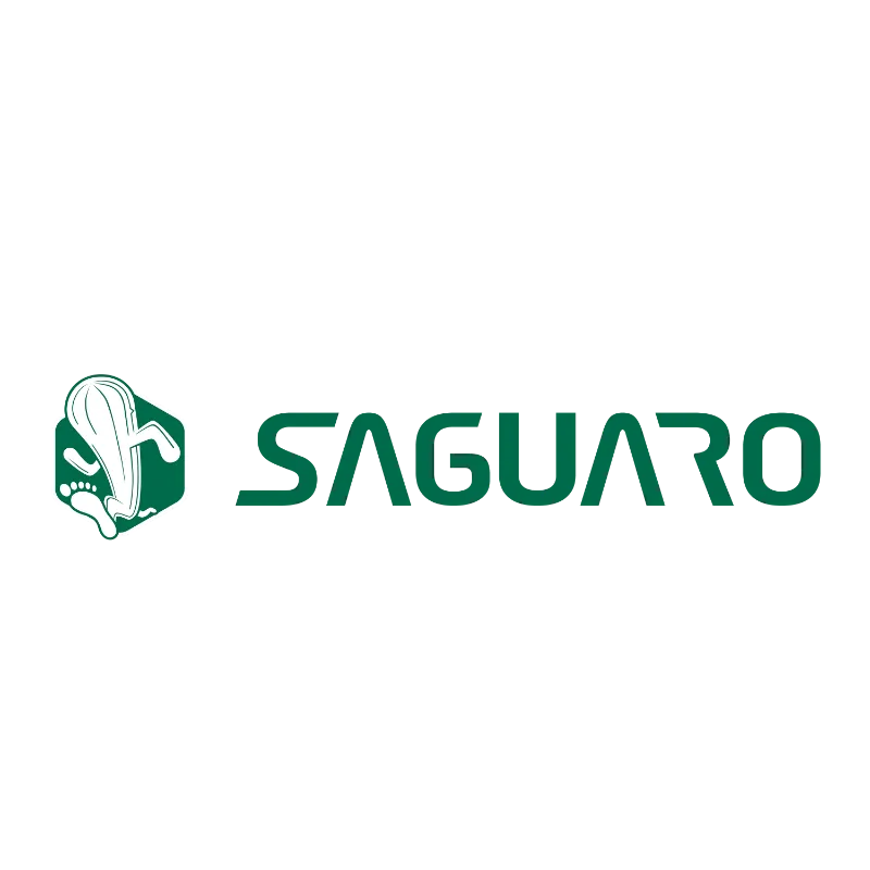 Saguaro Shoes