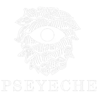 PsEYEche