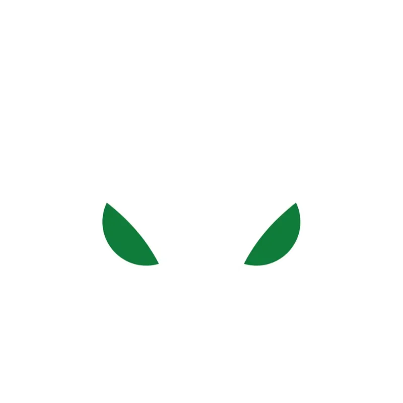 Usnighthawk