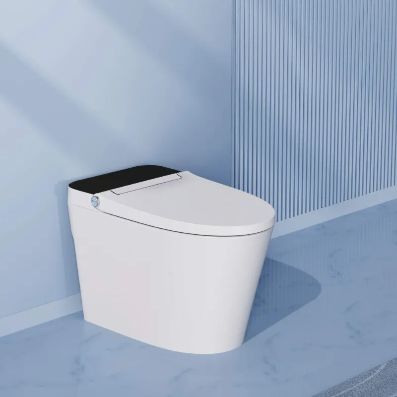 Bazyths heated toilet with a warm seat for cozy bathroom use