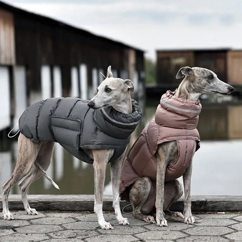 Pikapika jackets for dogs