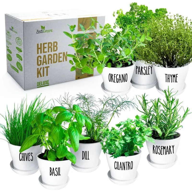 ZestiGreens herbal garden kit with pots and soil for indoor herbs
