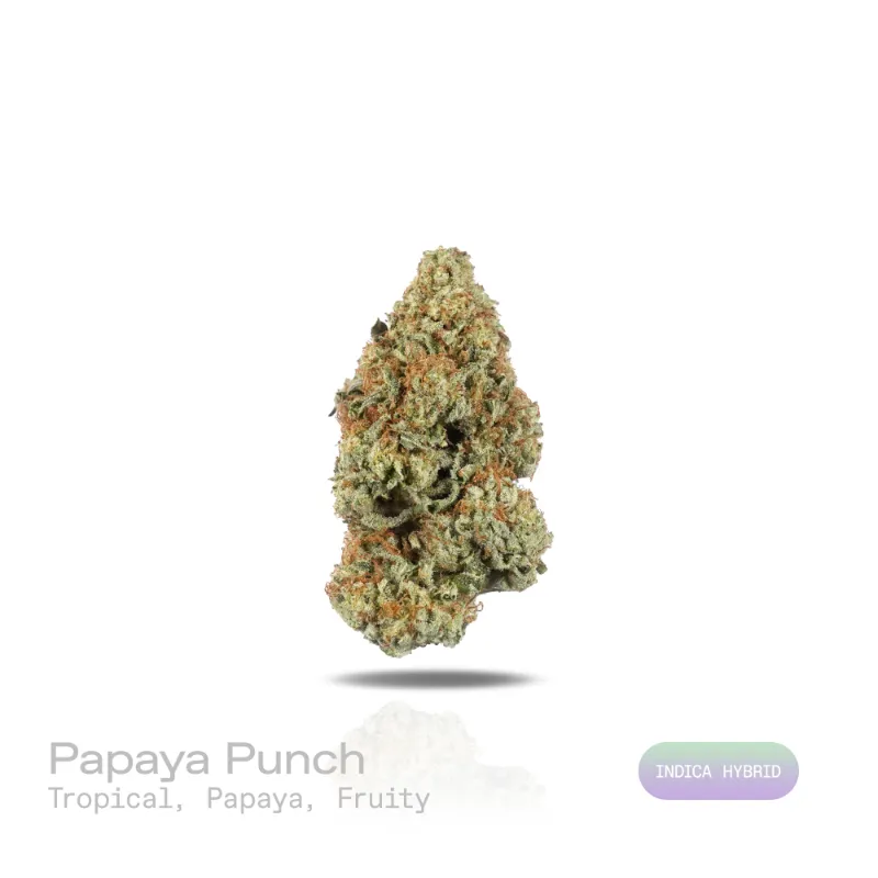 Hipuffy papaya punch cannabis strain