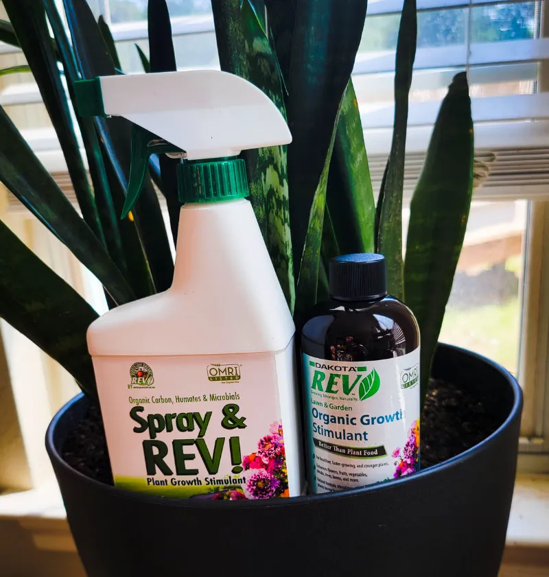 OrganicRev Bang for Buck organic supplement