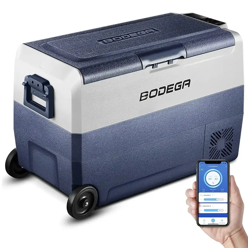 BODEGA cooler