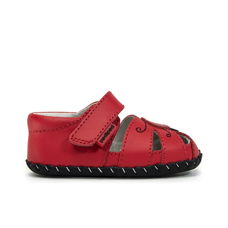 Pediped baby shoes for little feet