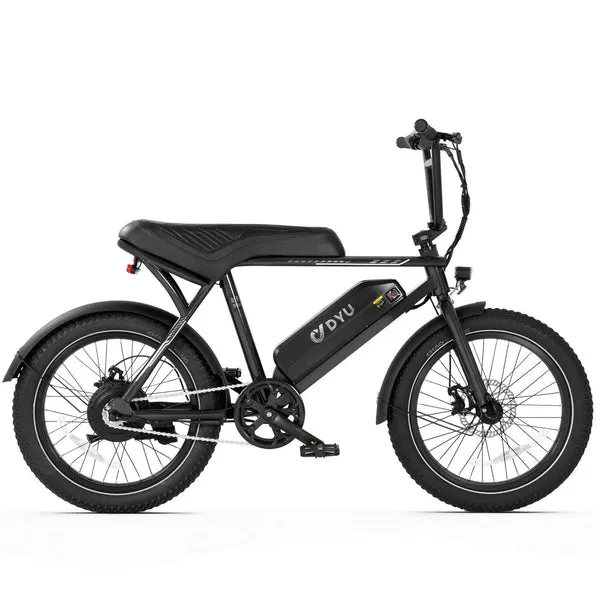 DYU fat tire e bike