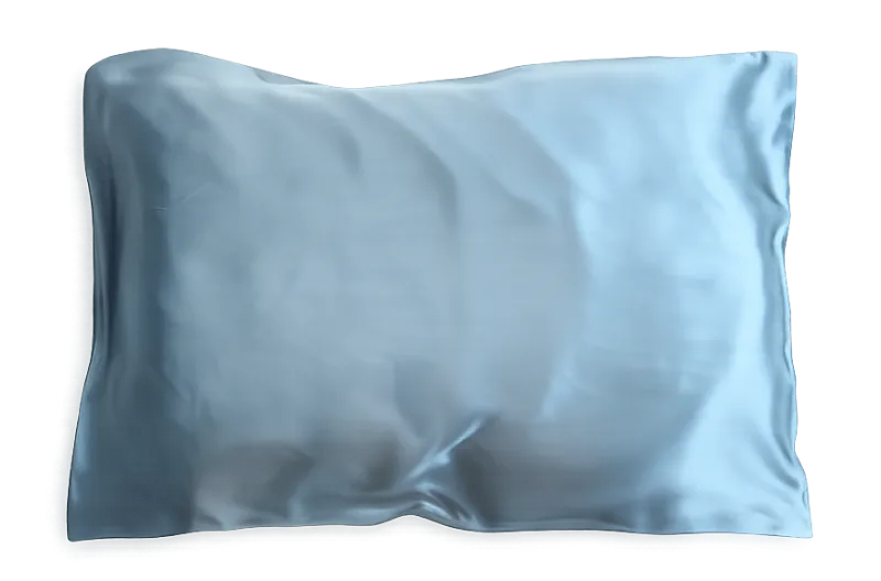 Sleep Heavy 19 momme mulberry silk pillow cover