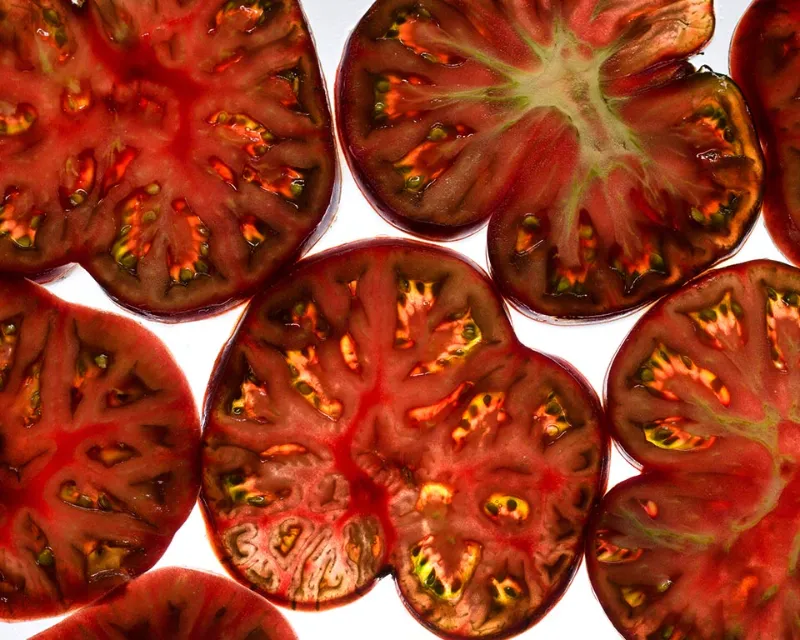 Vintage Seed Co black krim tomato seeds