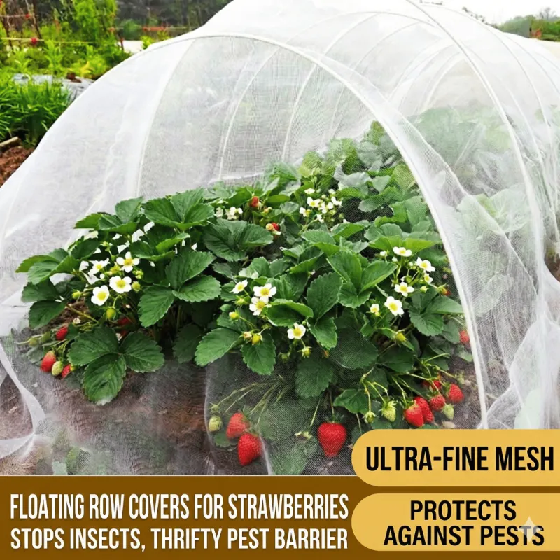 Cultiuana strawberry bird netting for crop protection