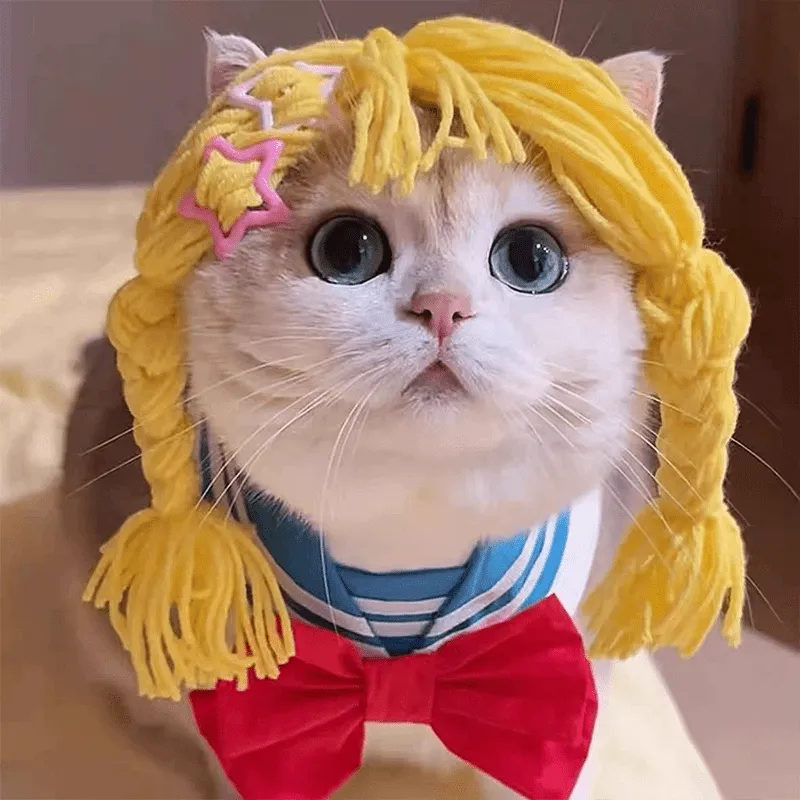 Pikapika cat wig