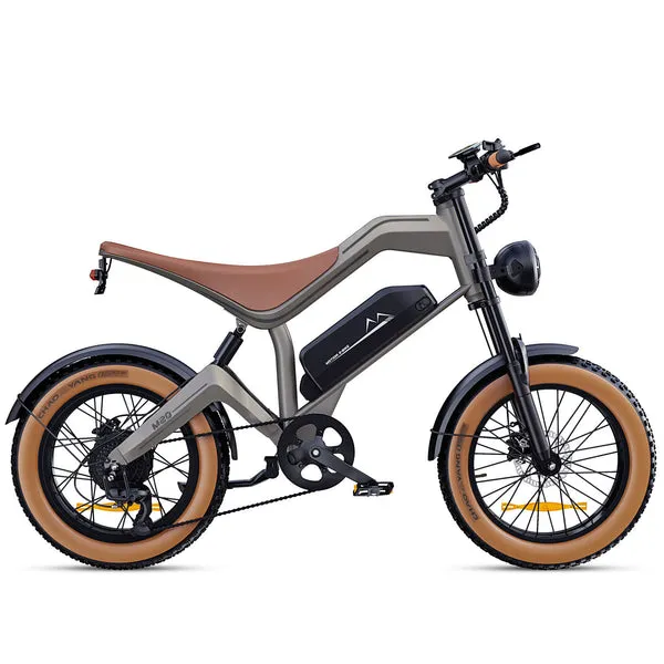 DYU 20 ebike