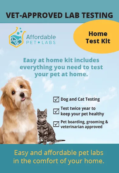 Affordable Pet Labs dog pregnancy test kit with test device and packaging