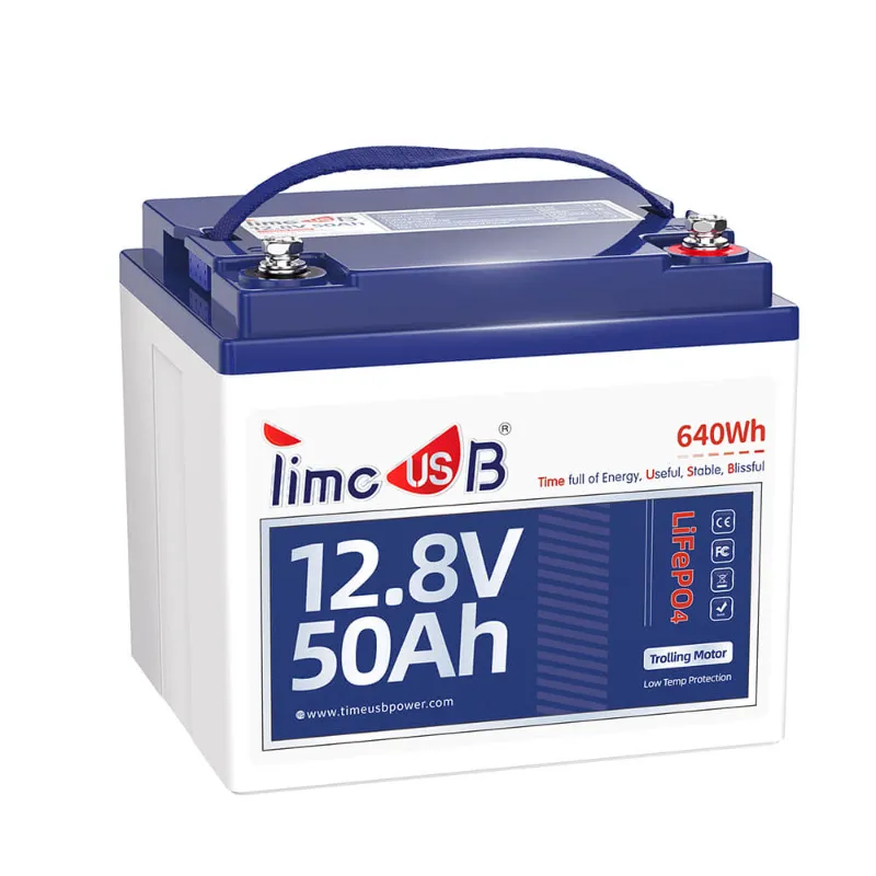 Timeusb 50ah lithium battery