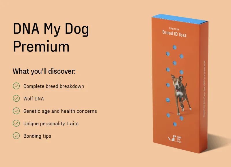 Affordable Pet Labs dog DNA test kit box with collection swab and instructions