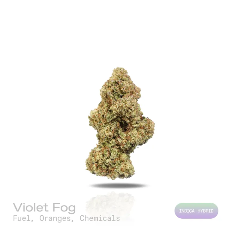 Hipuffy violet fog cannabis strain