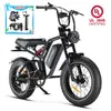 HappyRunSports 750 watt ebike