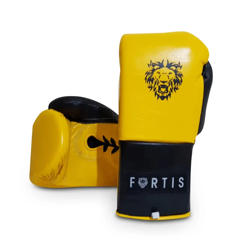 Fortis best boxing movies digital content collection
