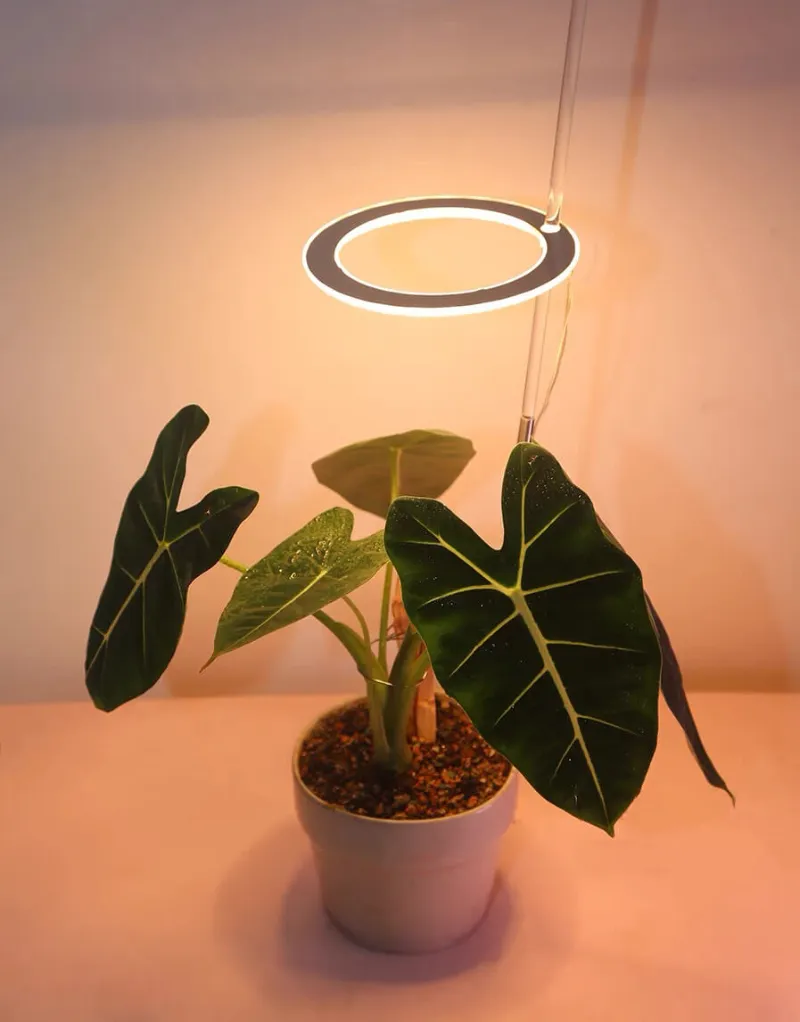 Cultiuana small grow light for indoor plants