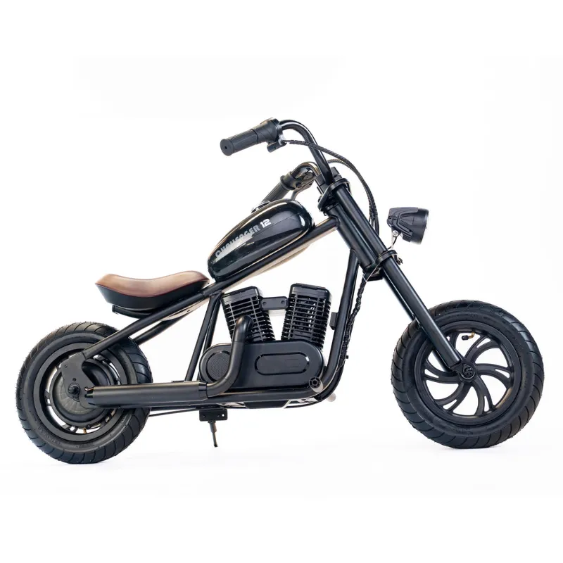 Eride Space Challenger 12 electric bike