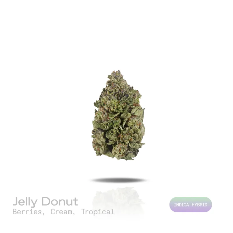 Hipuffy jelly donut cannabis strain