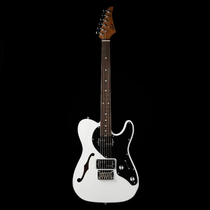 EART GUITAR electric semi-hollow body guitars