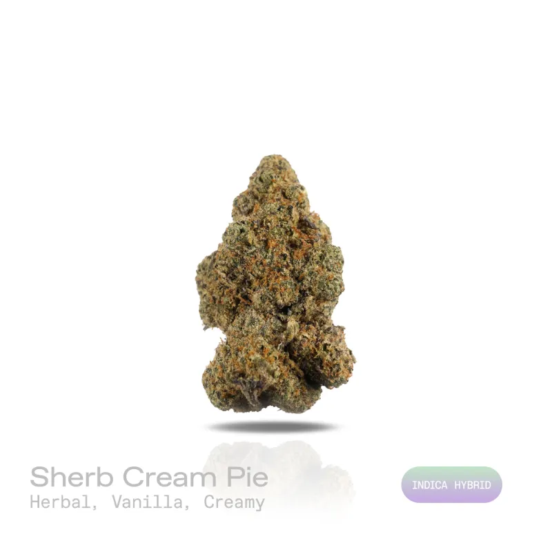 Hipuffy sherb cream pie cannabis strain