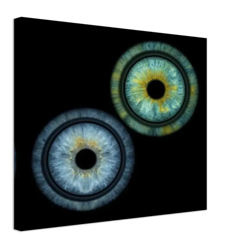 Iris Blink irises eyes art print