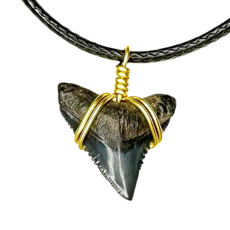 SHRKco shark necklace