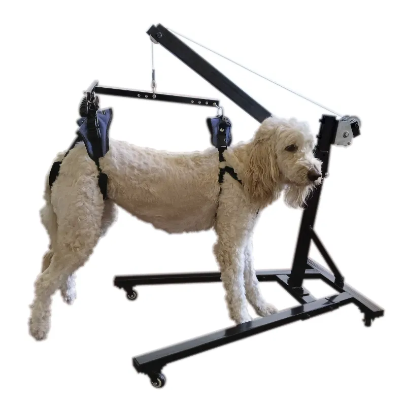 Best Friend Mobility dog lift