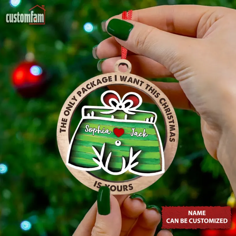CustomFam funny christmas ornaments for holiday trees