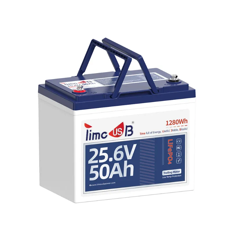 Timeusb lithium trolling motor battery