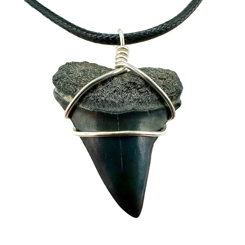 SHRKco fossil shark tooth necklace