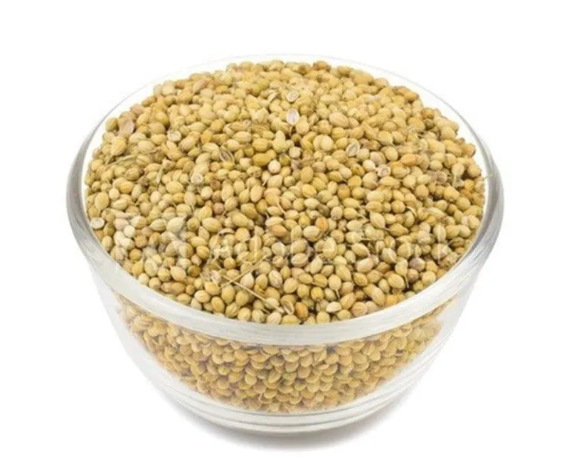 Distacart coriander dhania herb