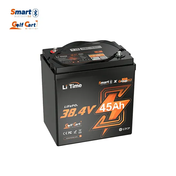 LiTime golf cart batteries