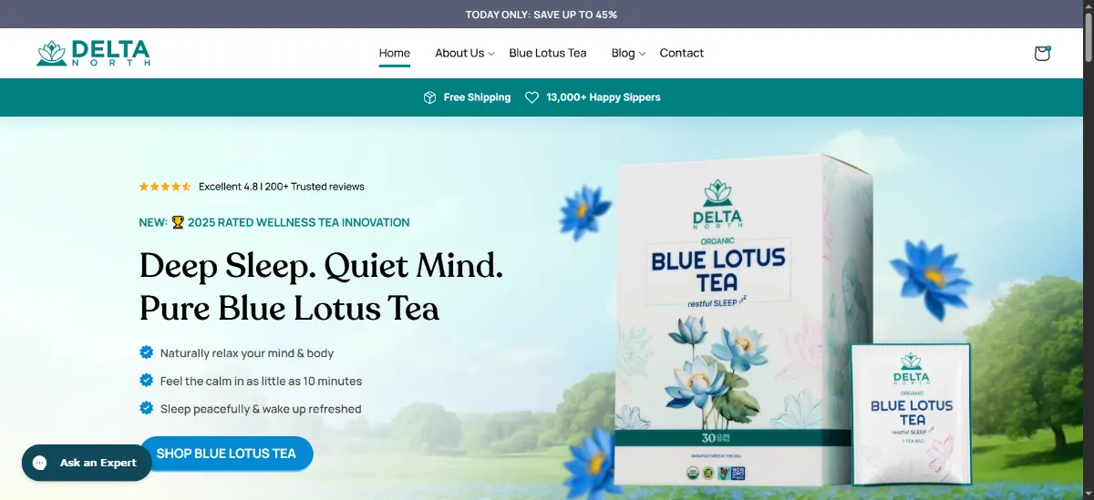 The Delta North Tea checkout, with the discount code box