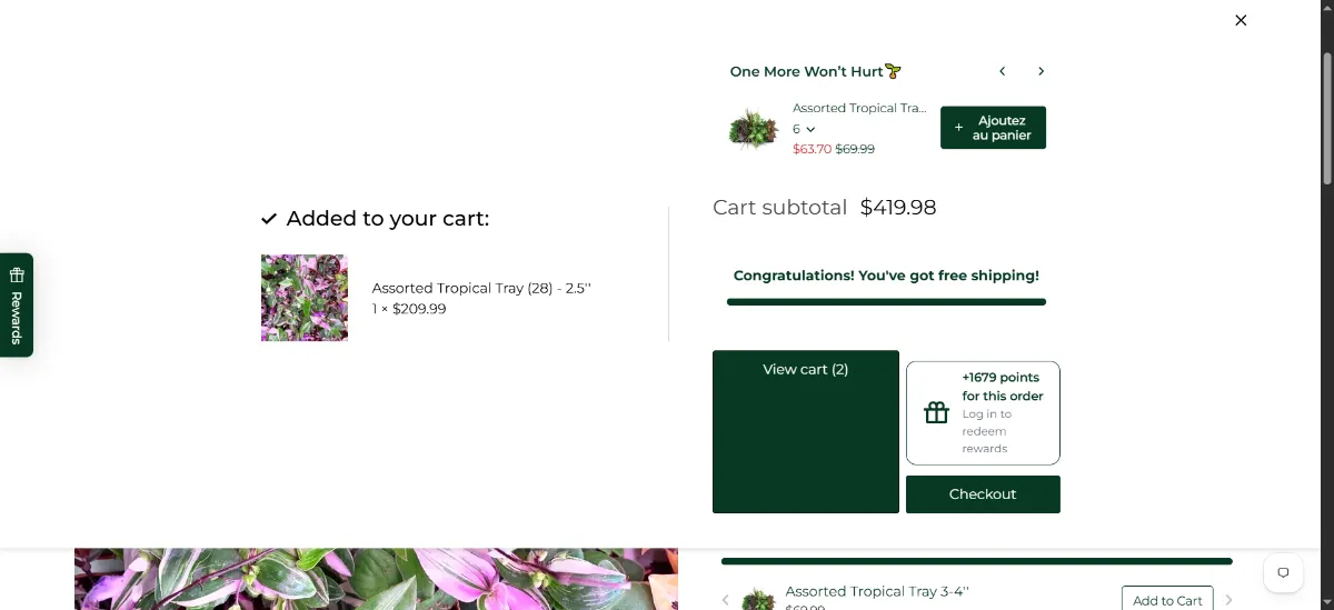 The Cactus en Ligne cart